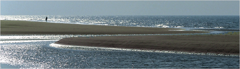 strandläufer .... reloaded