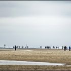 Strandläufer - St.-Peter-Ording