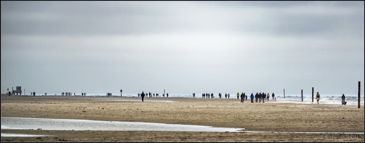 Strandläufer - St.-Peter-Ording