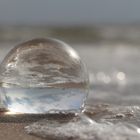 Strandläufer stehen Kopf