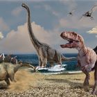 Strandläufer Teil 6 - Vor 150 Millionen Jahren