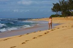 Strandläuferin