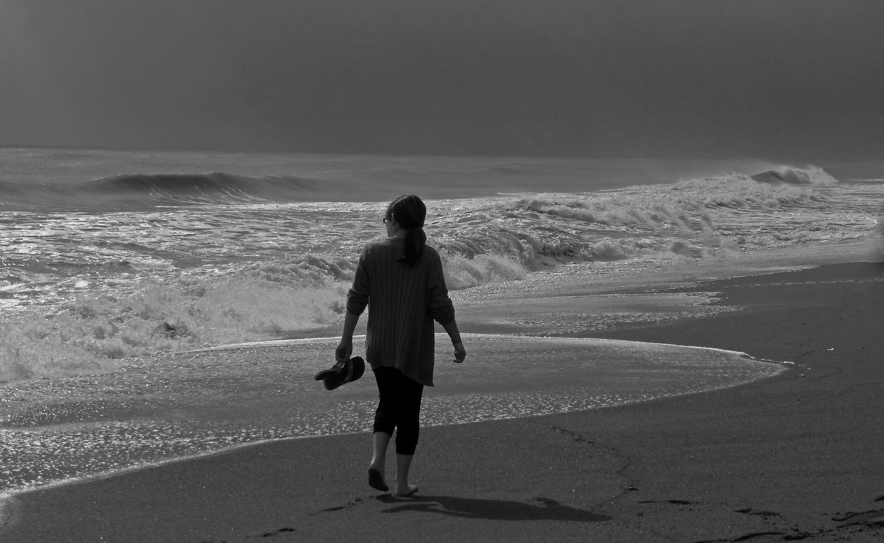 Strandläuferin