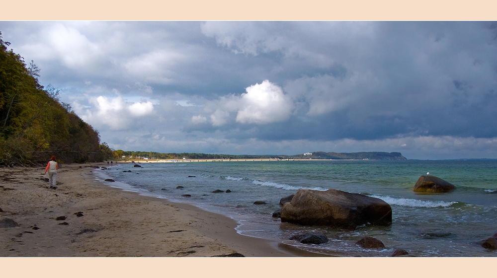 Strandläuferin