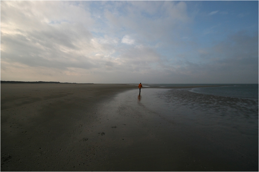 strandläuferin