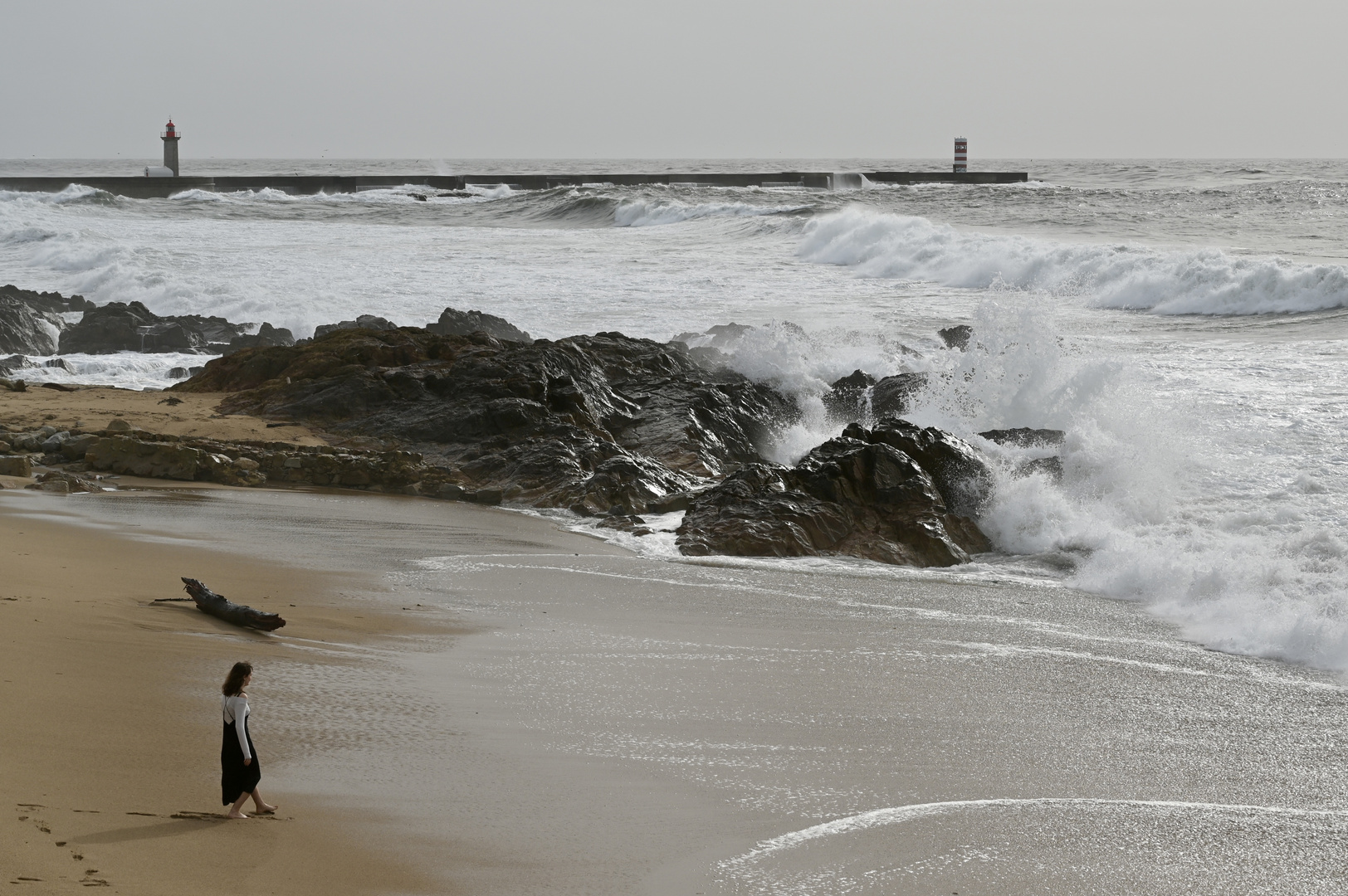 Strandläuferin