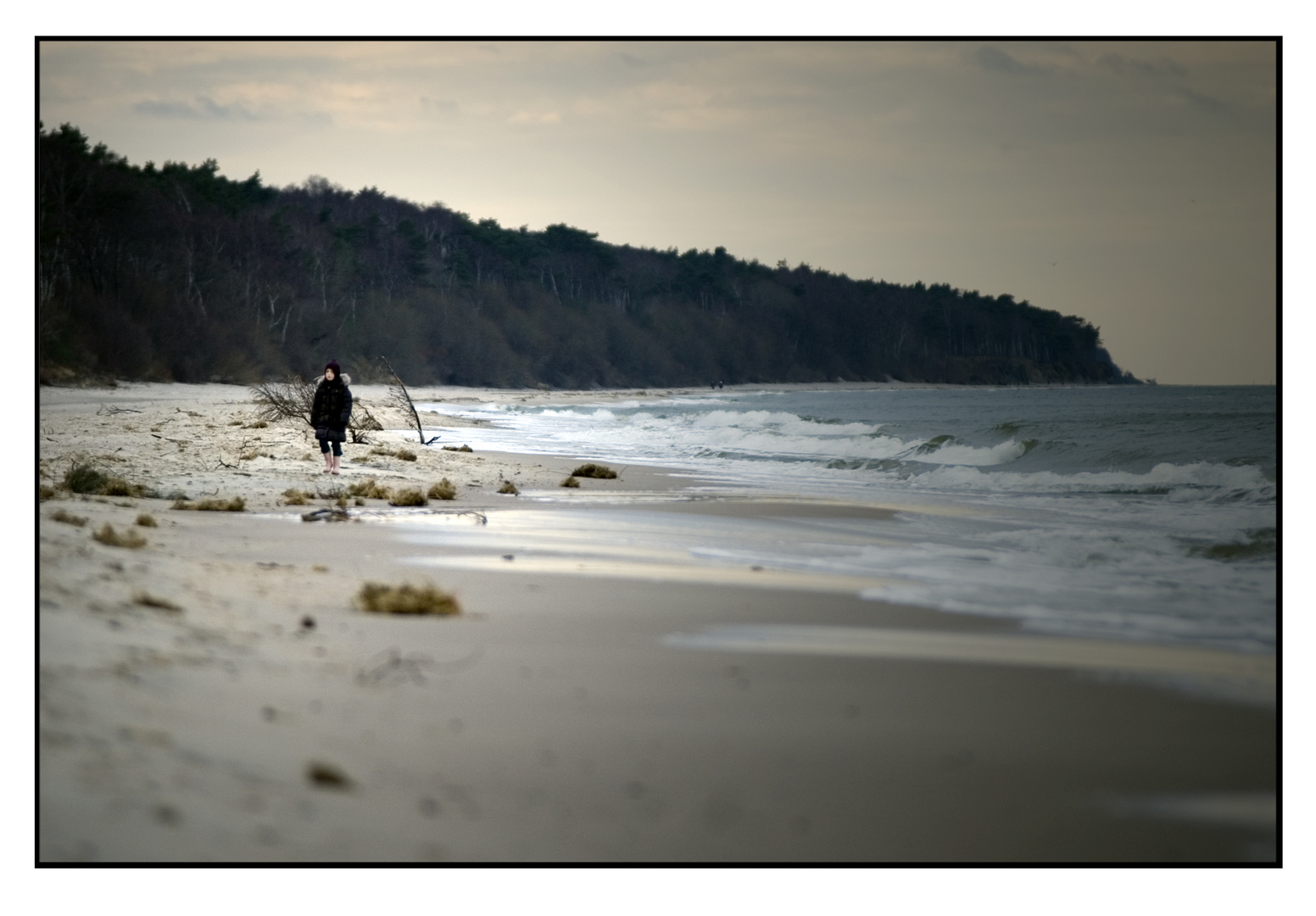 Strandläuferin