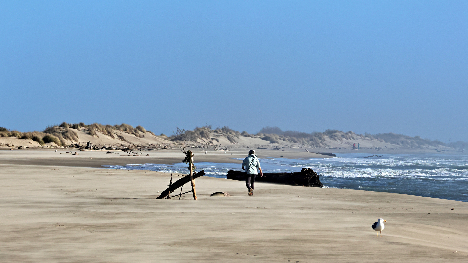 Strandläuferin im November