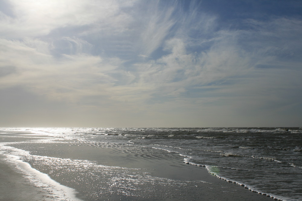 strandläufige Nordsee