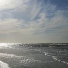 strandläufige Nordsee