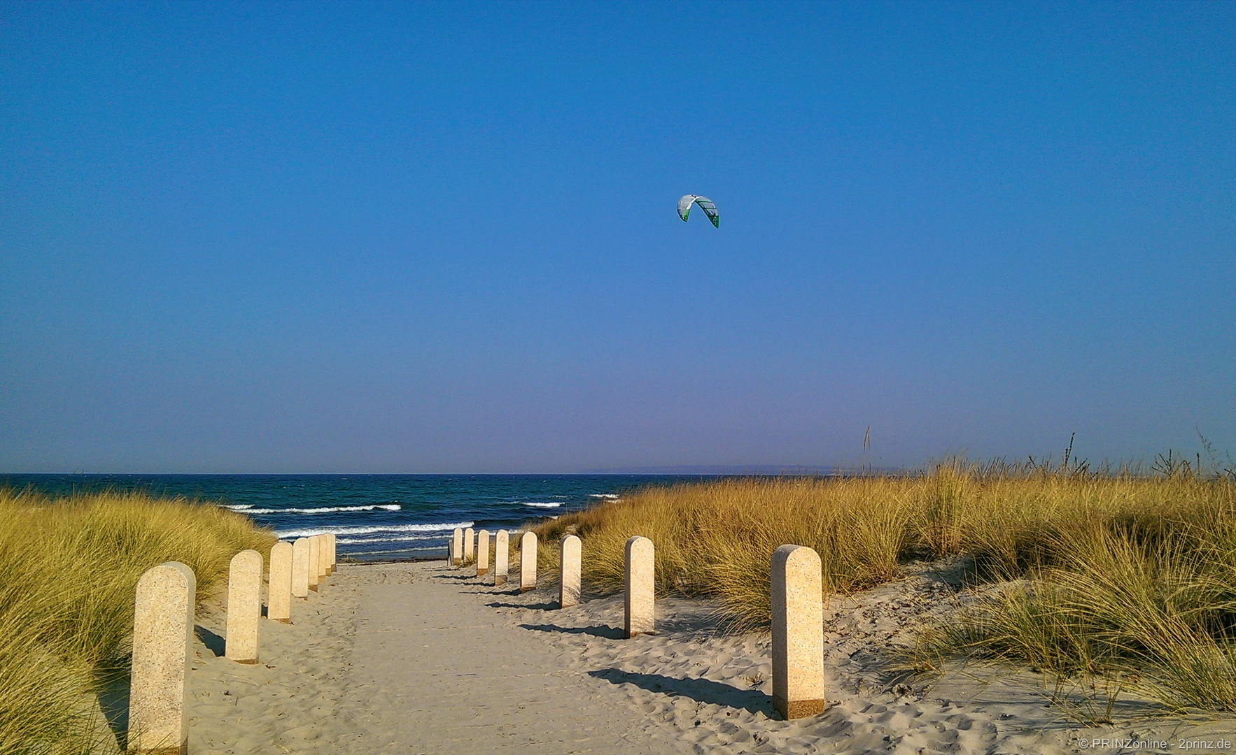 Strandläufiges