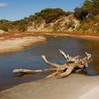 Strandlagune