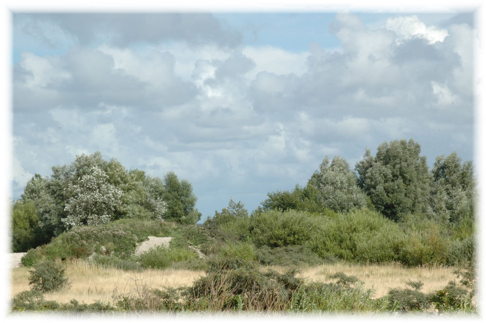 Strandlandschaft