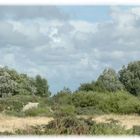 Strandlandschaft