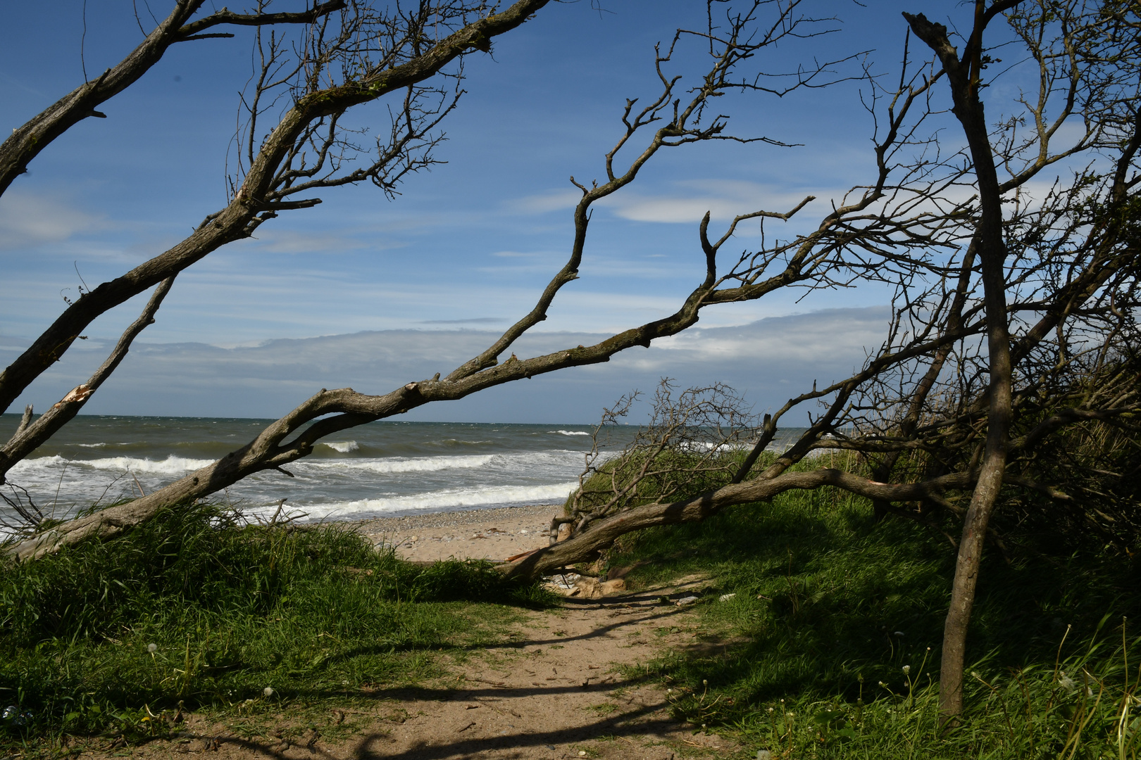 Strandlandschaft