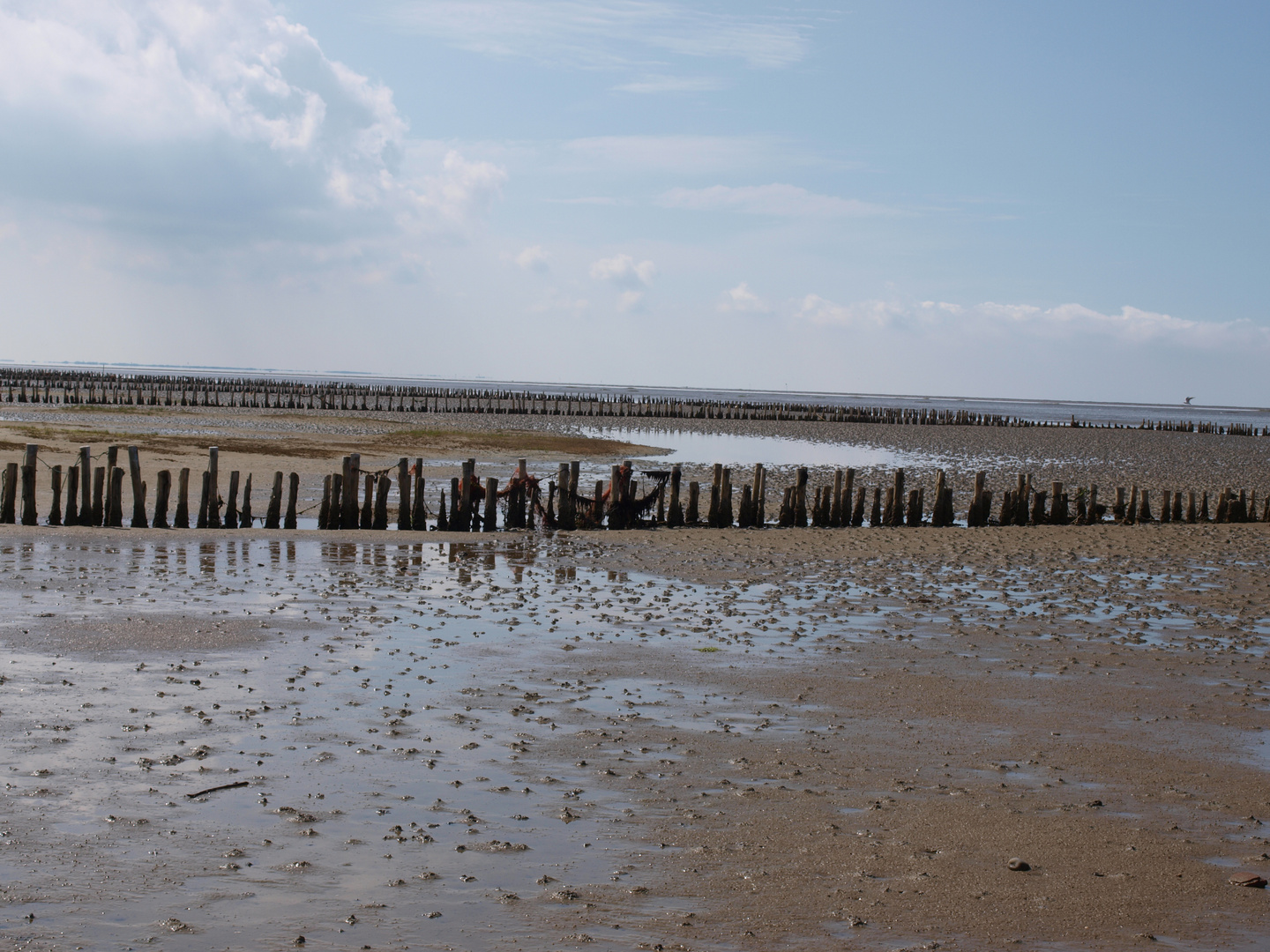 Strandlandschaft