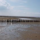 Strandlandschaft