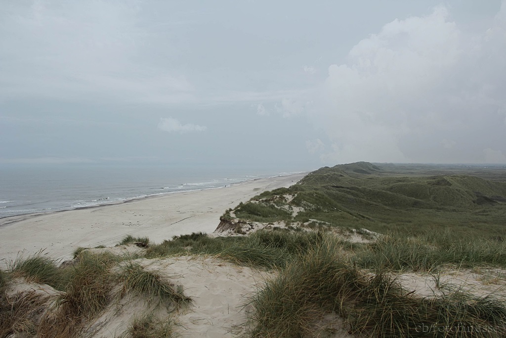 Strandlandschaft