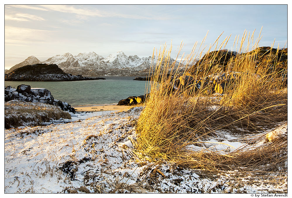 Strandlandschaft