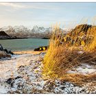 Strandlandschaft