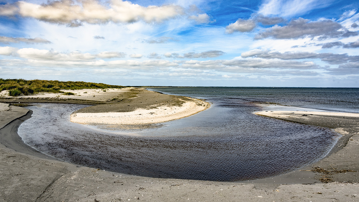 Strandlandschaft