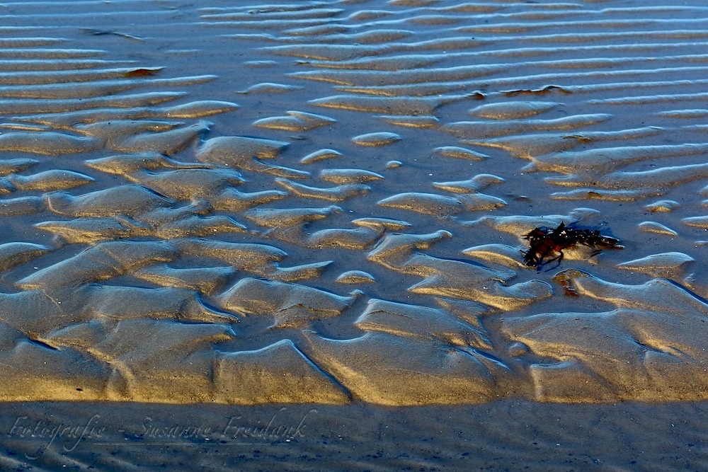 Strandlandschaft