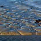 Strandlandschaft