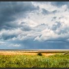 Strandlandschaft