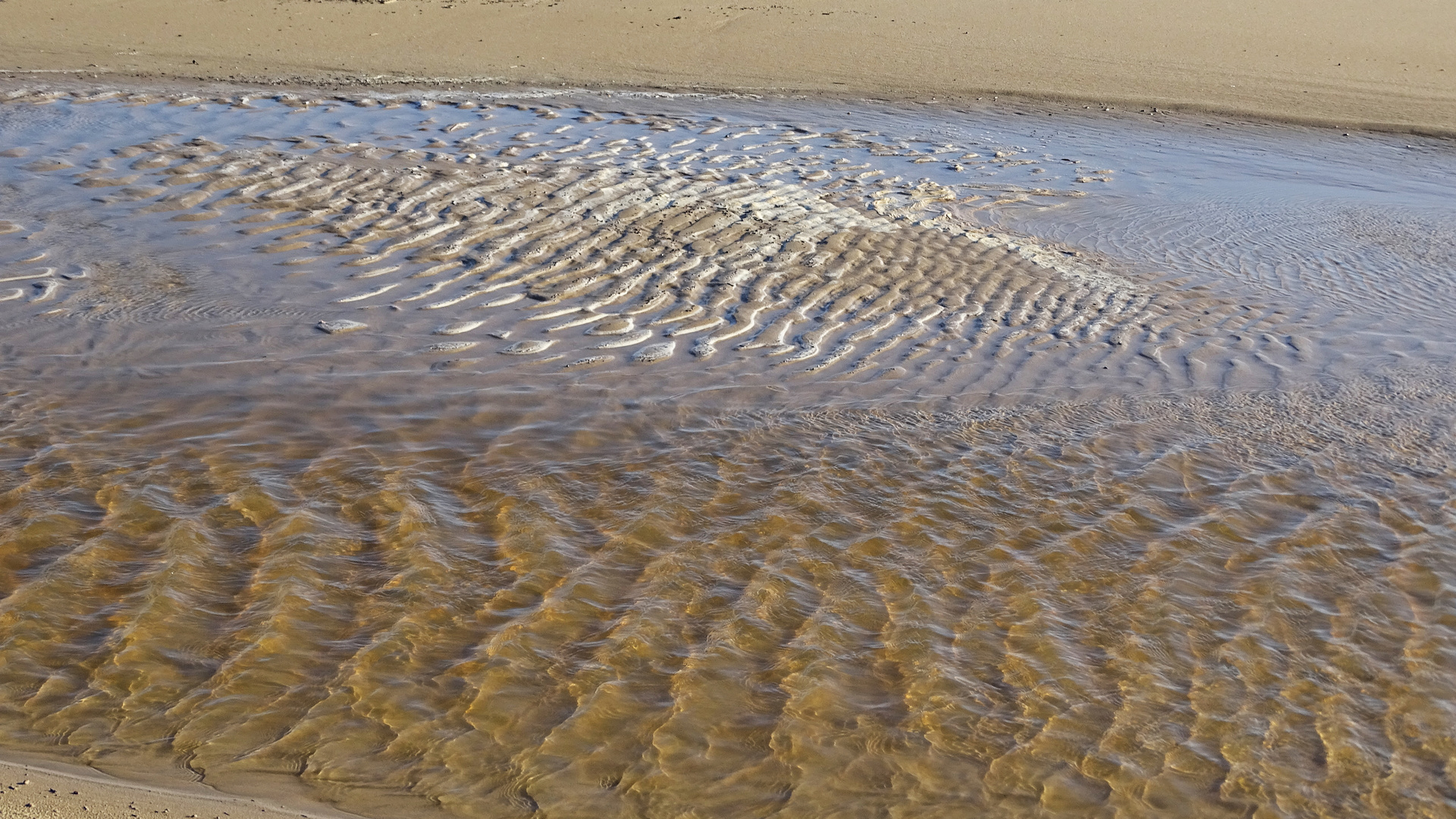 Strandlandschaft