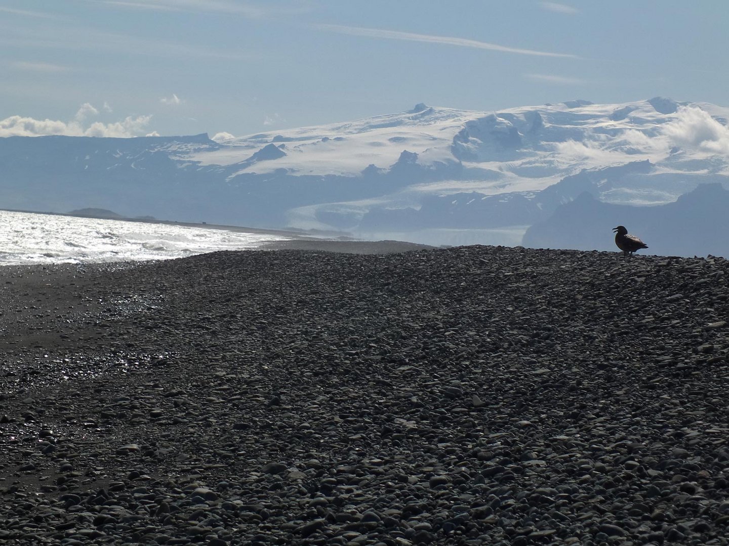 Strandlandschaft in den Ostfjorden Islands mit Gletscher im Hintergrund