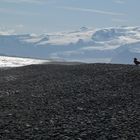 Strandlandschaft in den Ostfjorden Islands mit Gletscher im Hintergrund