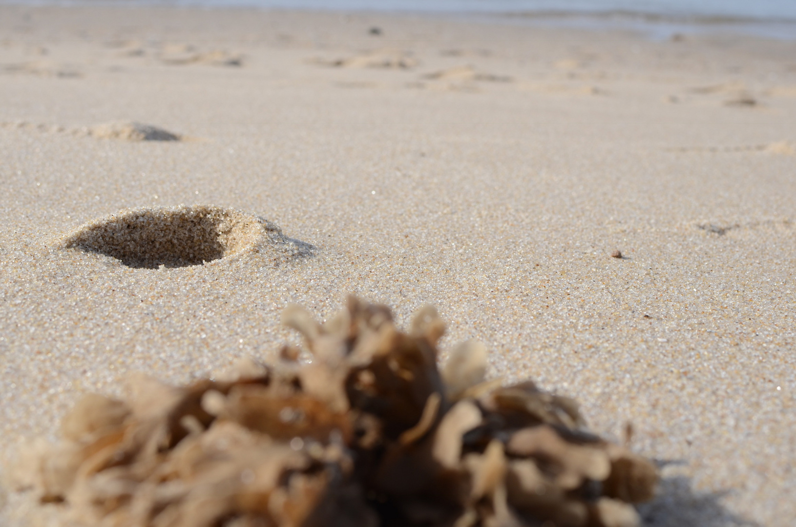 Strandlandschaften 