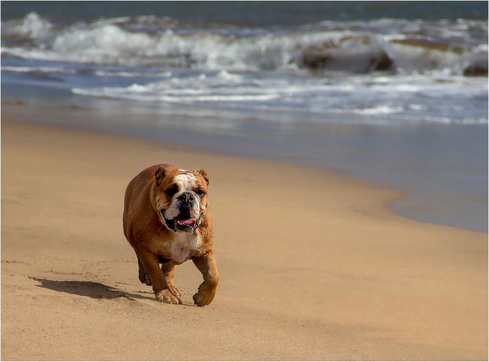 Strandlauf