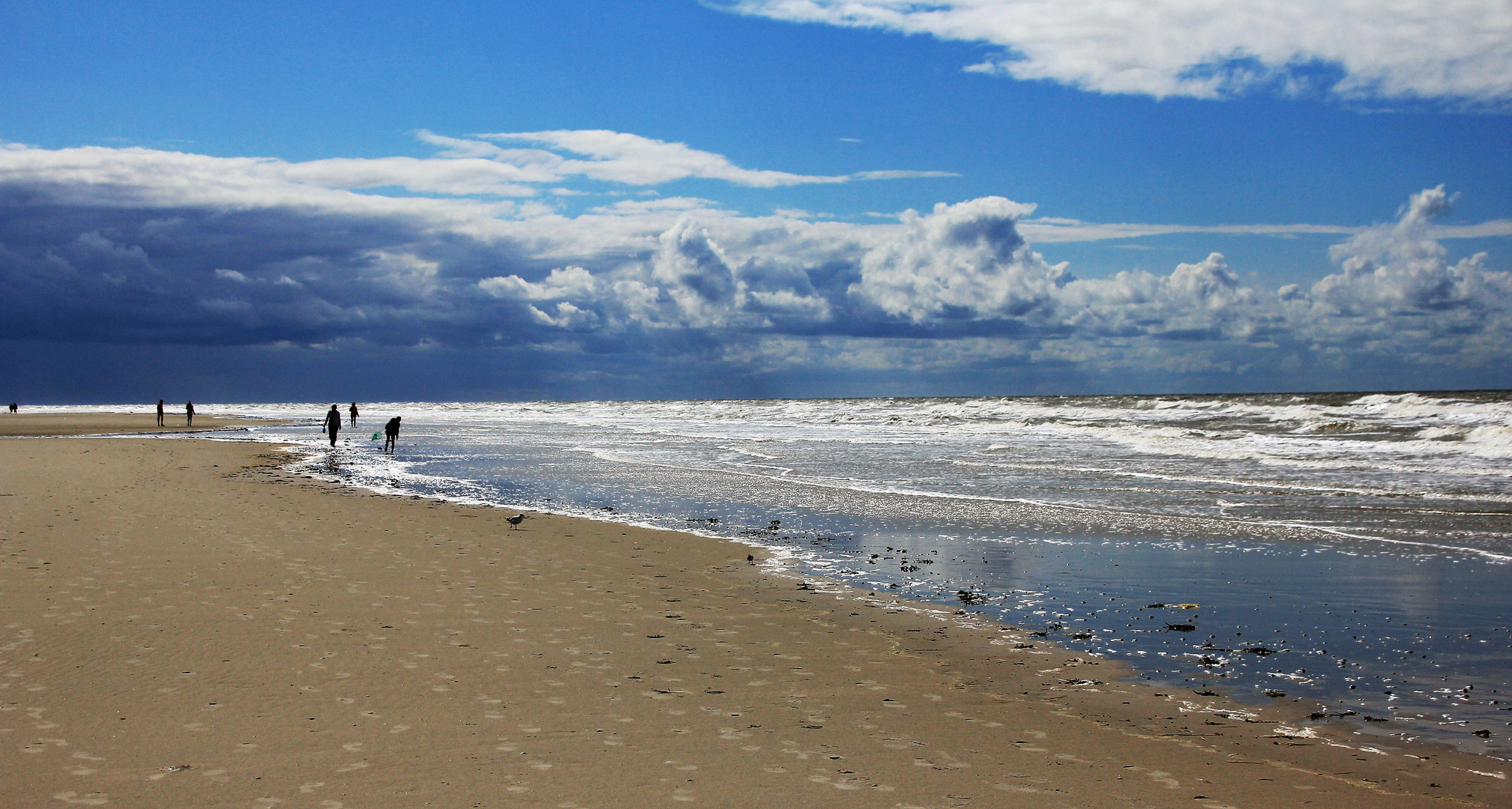 Strandlauf