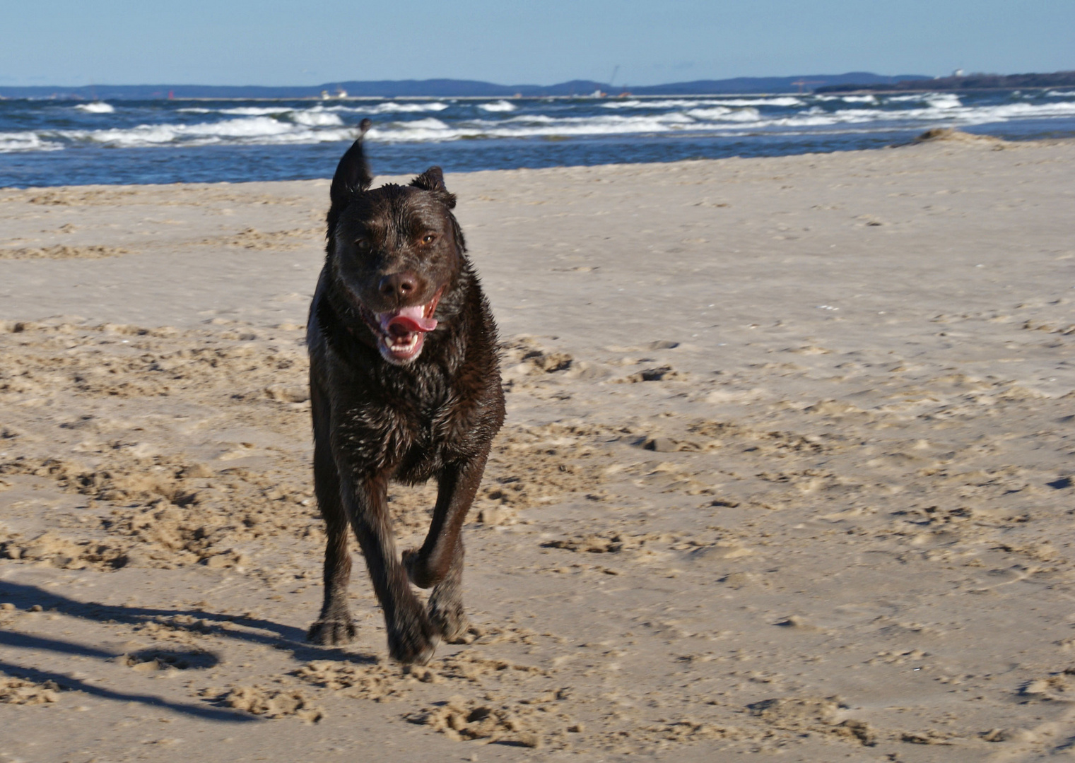 Strandlauf