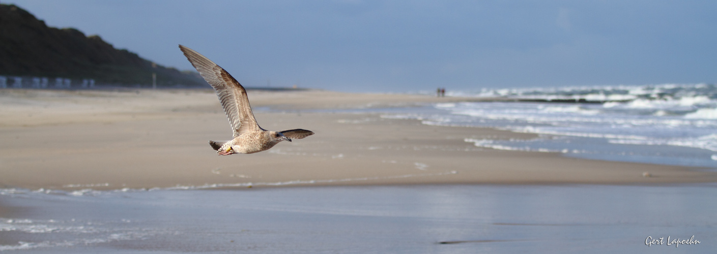 Strandleben