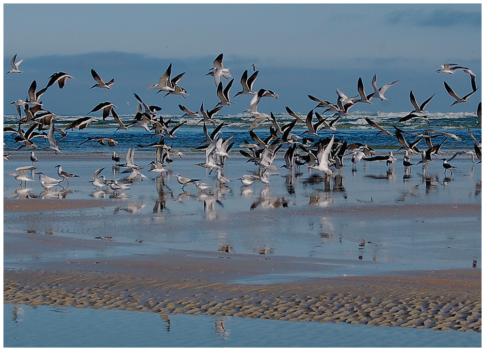 Strandleben