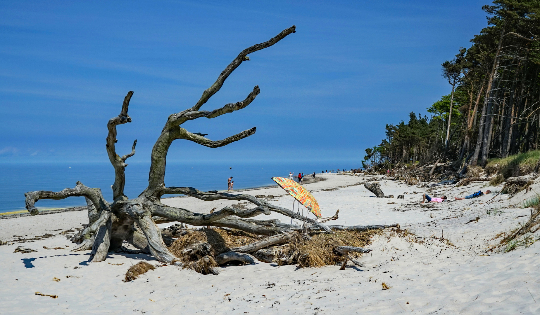 Strandleben