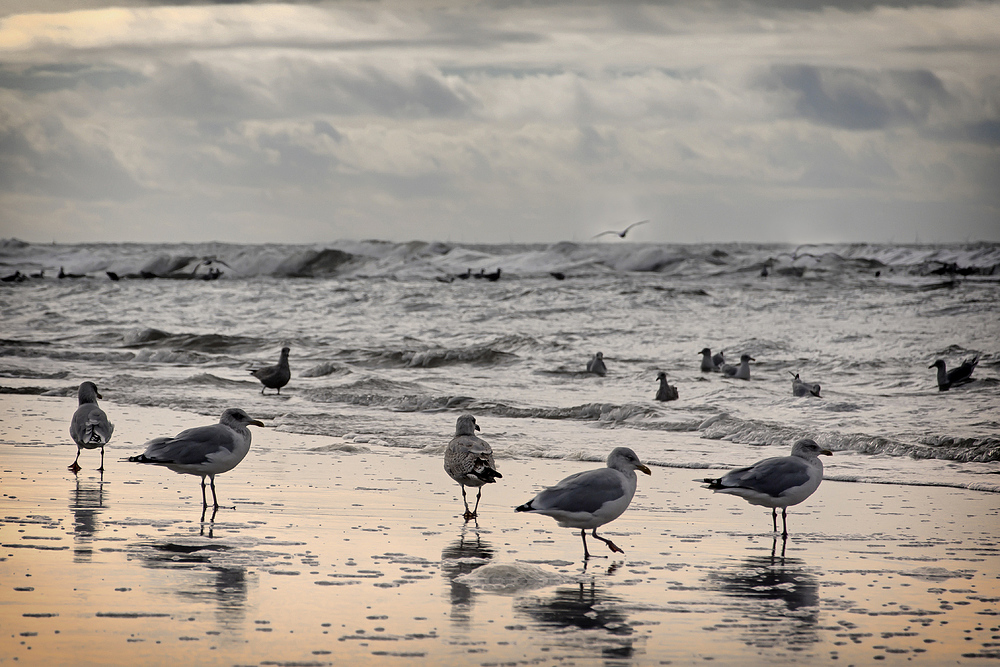 Strandleben