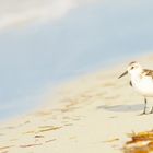 Strandleben auf Cuba