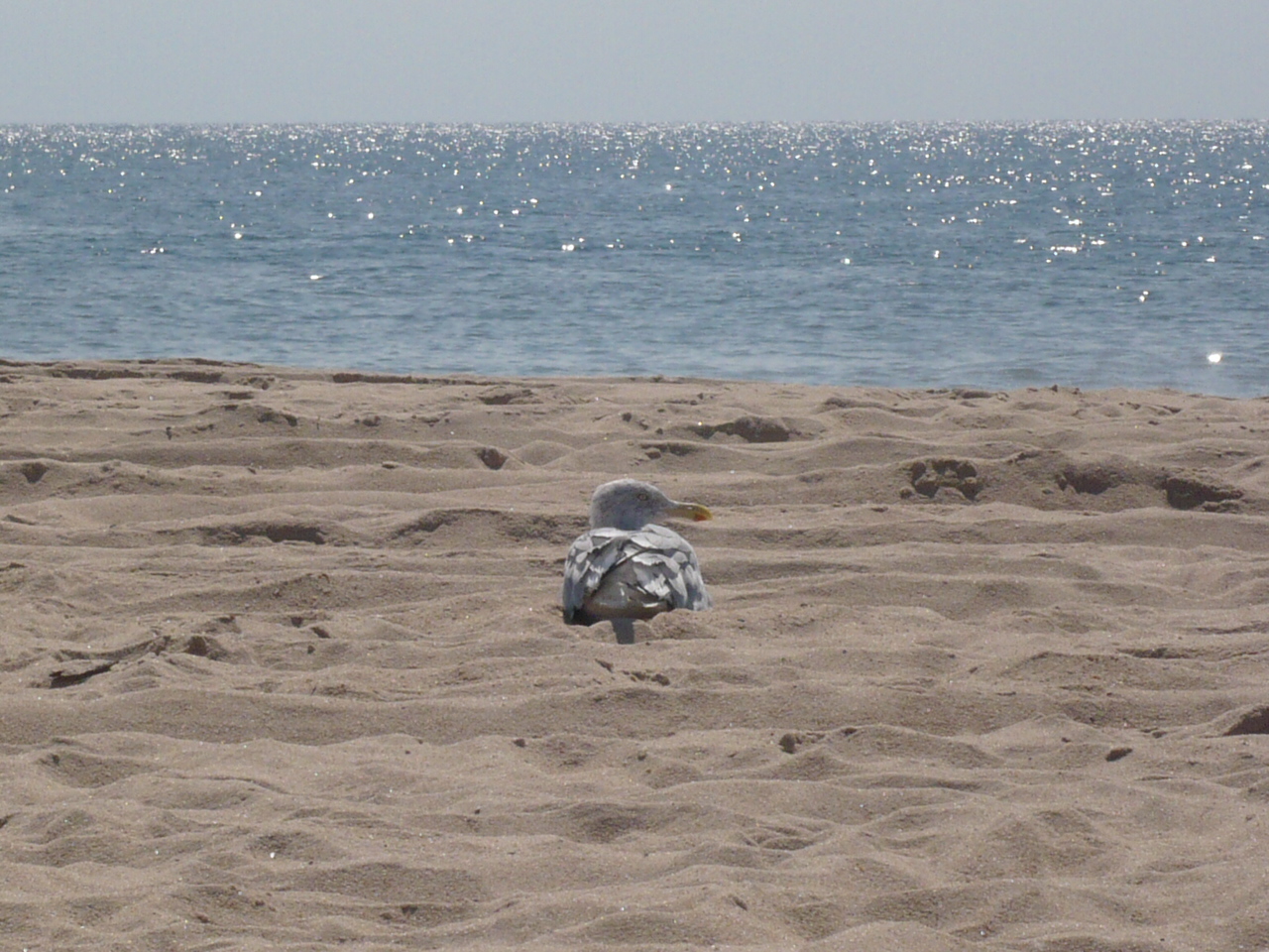 Strandleben auf Long Island