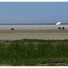 Strandleben auf Schiermonnikoog