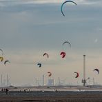 Strandleben bei Den Haag