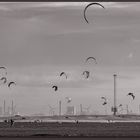 Strandleben bei Den Haag 2