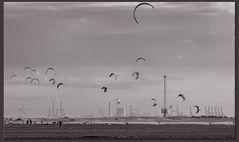 Strandleben bei Den Haag 2