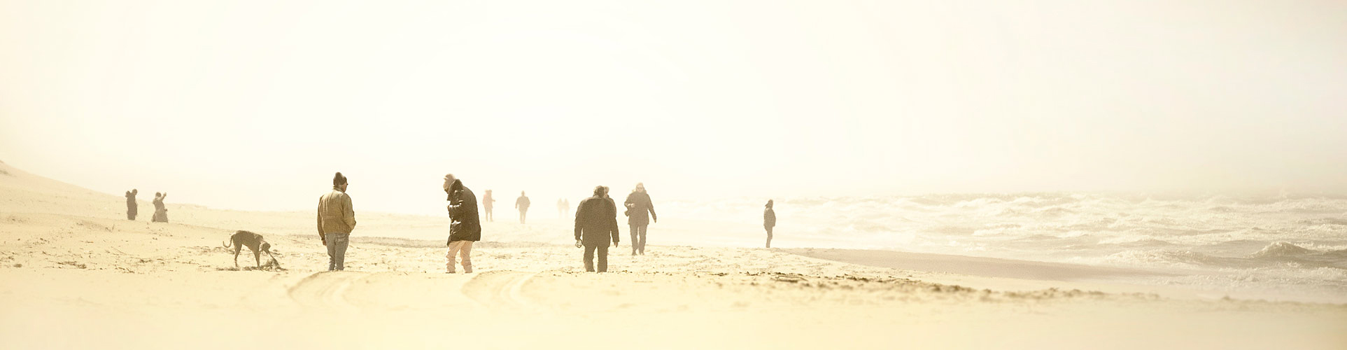 Strandleben bei Windstärke 9