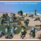 Strandleben der Dickhäuter