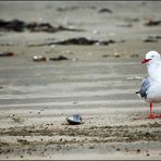 Strandleben