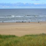 [ Strandleben, Egmond 3 ]