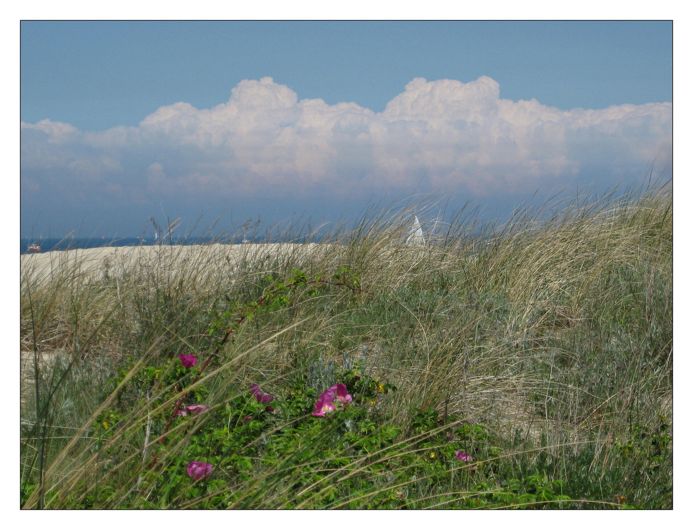 Strandleben II